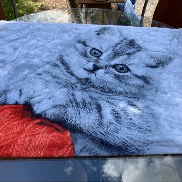 Other - Kitty throw